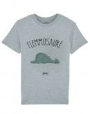 Tee shirt Flemmosaure